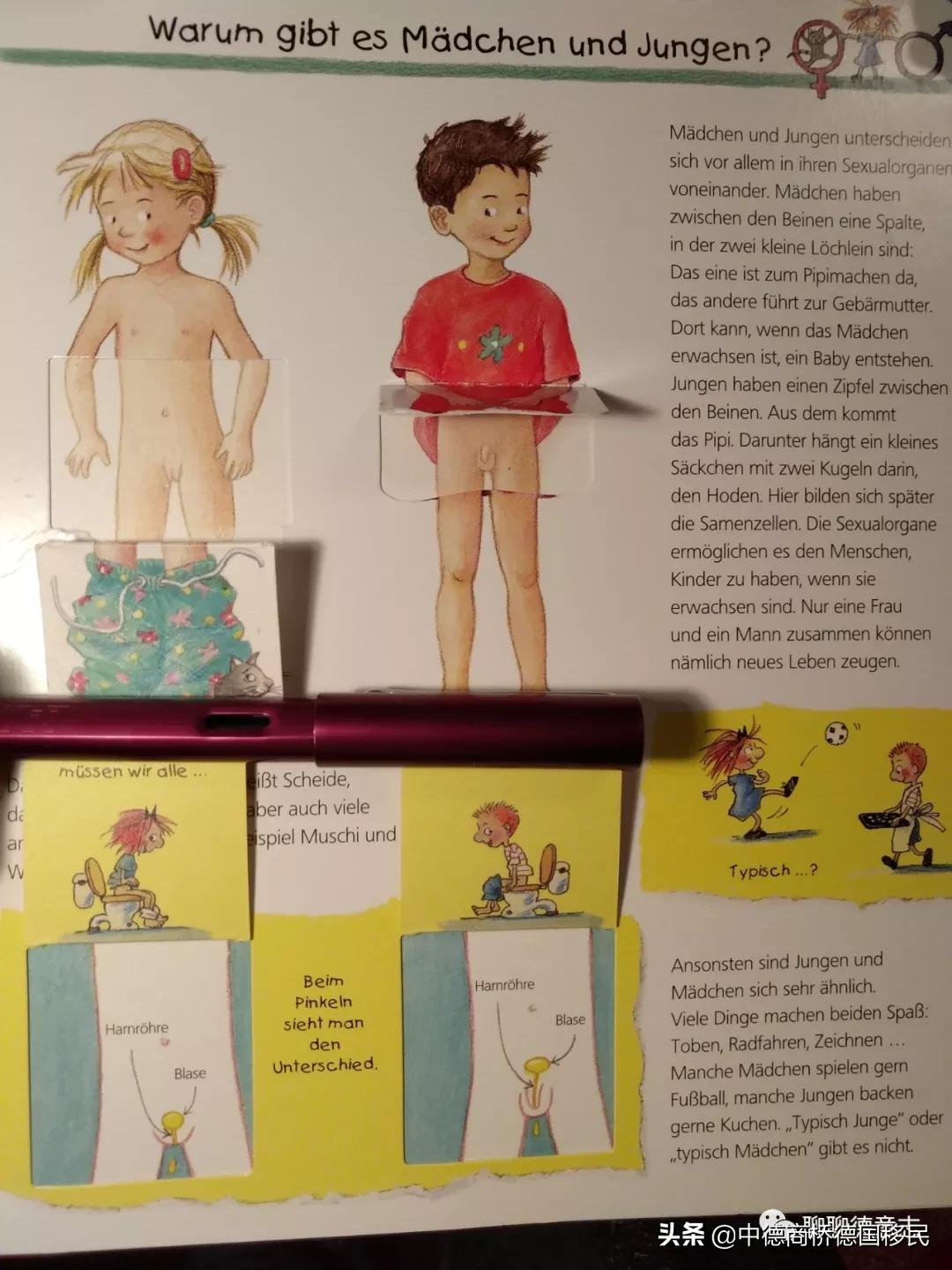 儿童性启蒙教育绘本,德国3-6岁幼儿园教育方法
