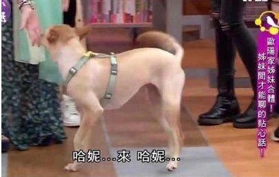 王源和欧阳娜娜大主宰40集,大主宰王源欧阳娜娜第28集