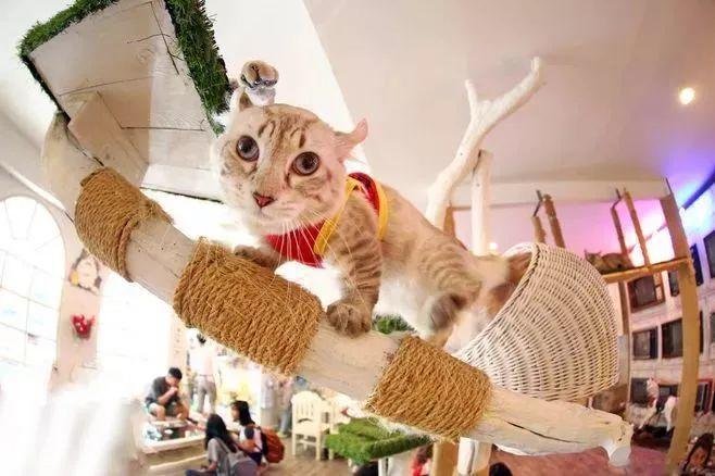 约会清单100项,情侣冬日约会的地方