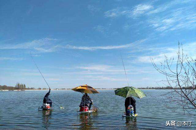 台钓详细解析,台钓一秒看懂