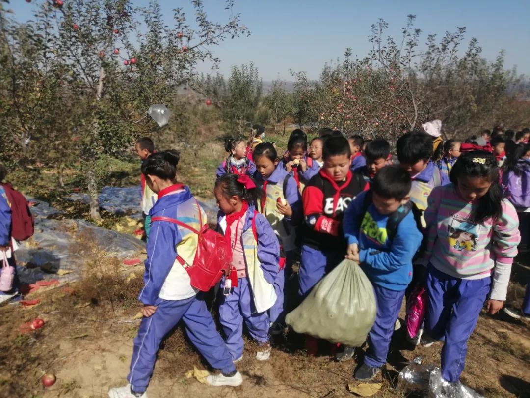 树魂立根务实前行延川县城关小学2020——2021学年度第一学期工作总结