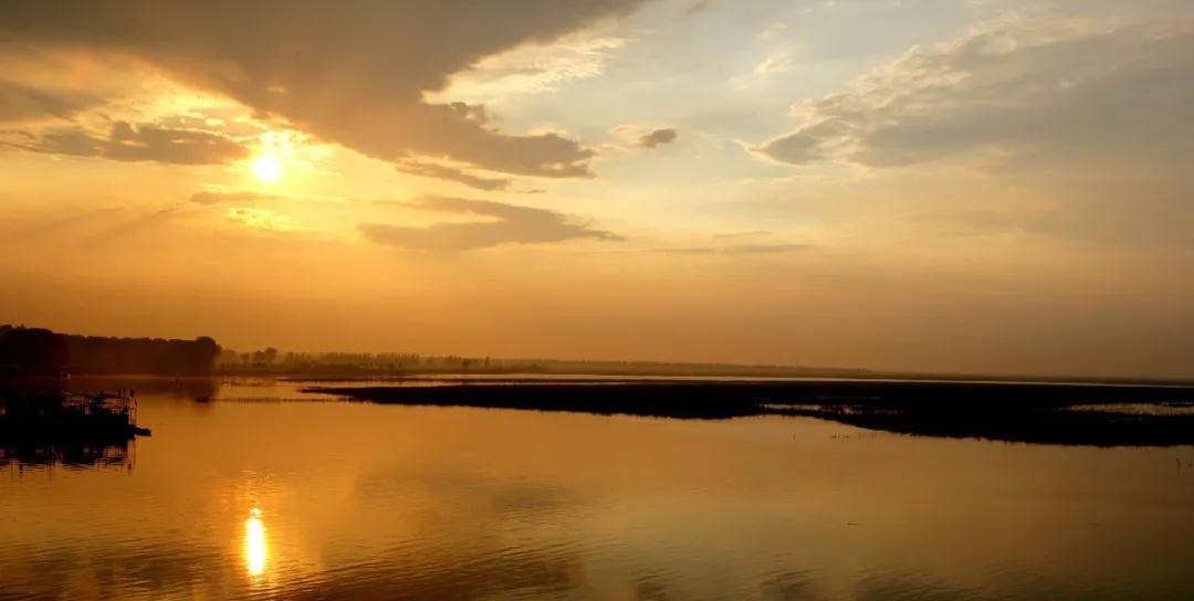 全国林草生物多样性保护成就展,林业生物多样性保护