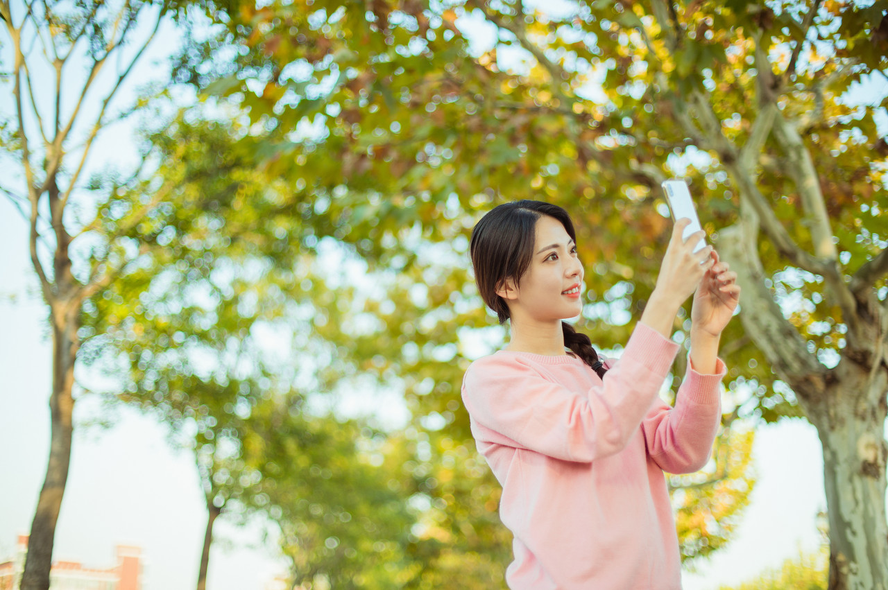 会计专硕mpacc专业考研,考会计硕士除了mpacc还有什么