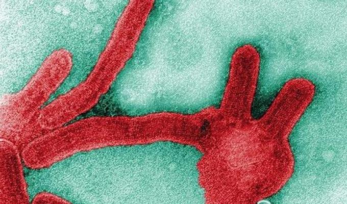 什么病毒是好病毒,现在最厉害的病毒是什么病毒