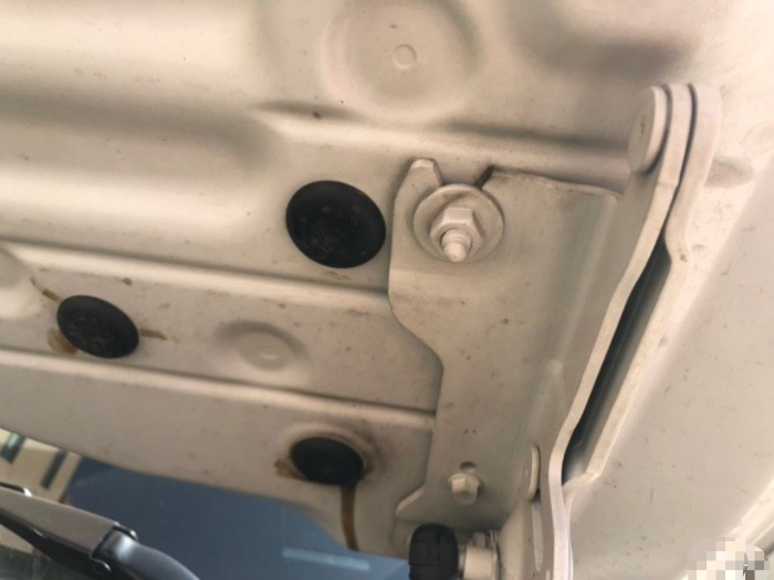 忠于纯粹全新一代宝马3系,忠于纯粹宝马广告