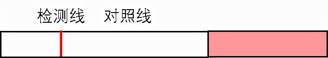 排卵试纸的正确用法,月经前用排卵试纸