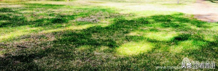 山西农大美丽的校园,山西农大校园风光