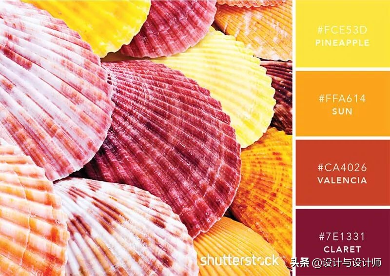 设计色彩总结200字左右,设计配色6种颜色