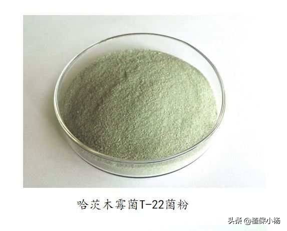 哈茨木霉菌枯草芽孢杆菌能混用么,哈茨木霉菌和枯草芽孢杆菌配比