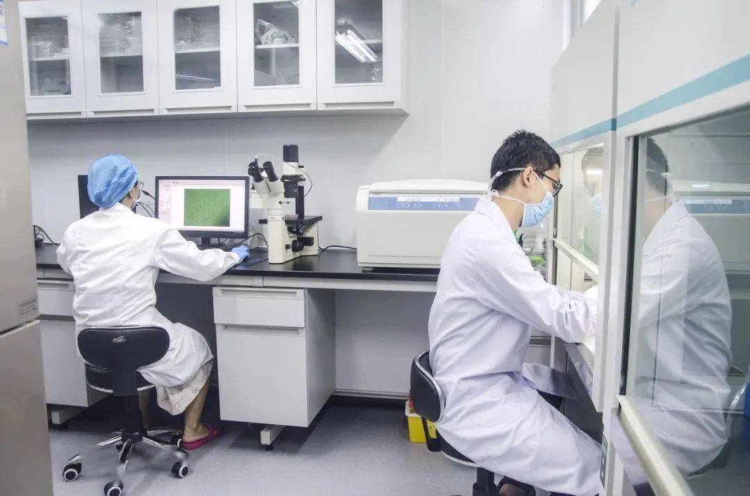 新发现：卵子会对某些人的精细胞更加偏爱，甚至可为其“开后门”