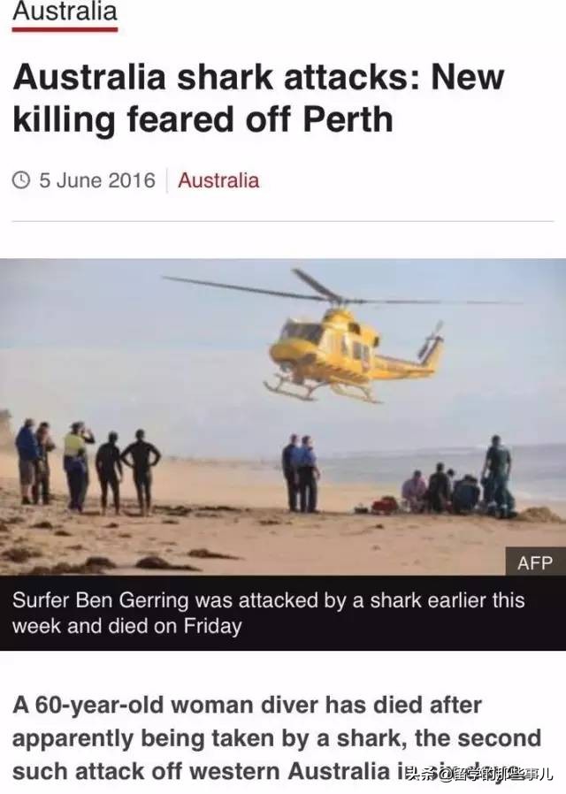 在海里遇到鲨鱼怎么才可以逃生,在海里碰到鲨鱼怎么办