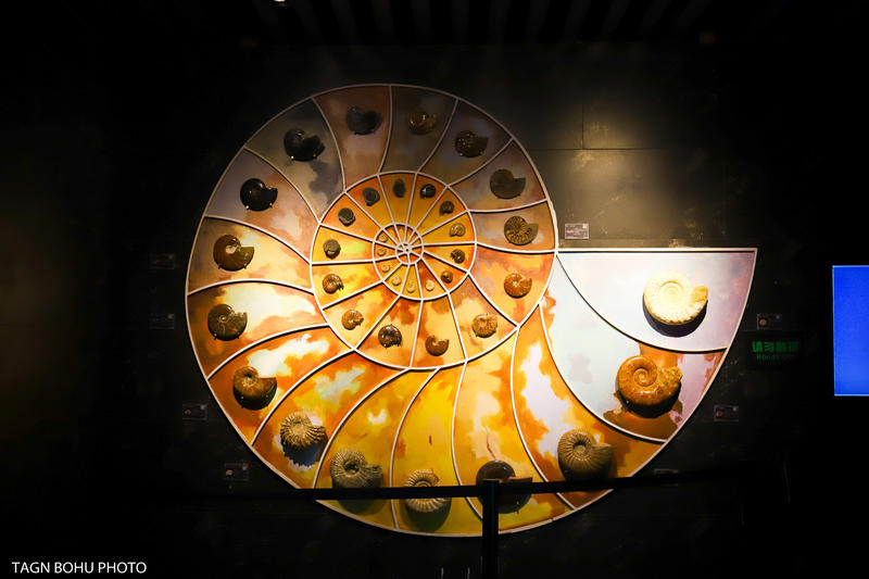 衢州常山春日旅游攻略,常山小众景点