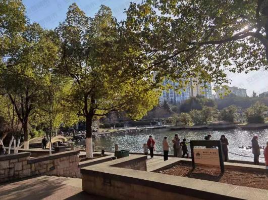 合肥的第四代豪宅,合肥探豪宅视频