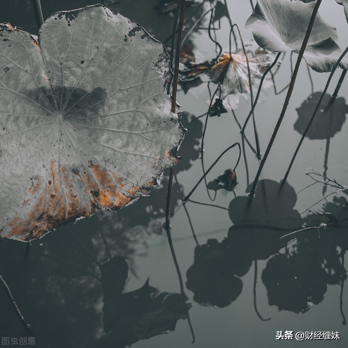 缠论的六种走势结构,缠论的趋势和操作