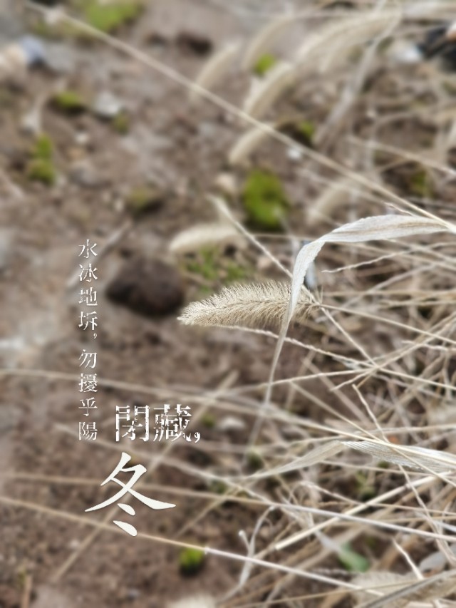 一部手机拍大片视频,一部手机就可以拍出大片