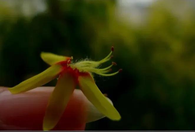 绉嬫棩绗旇鐩存挱,绉嬫棩绗旇