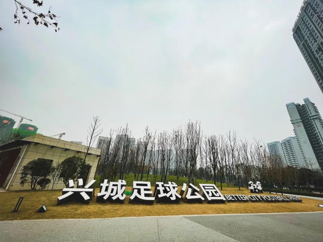 最好的足球场地是哪里,最好的足球场地在哪里