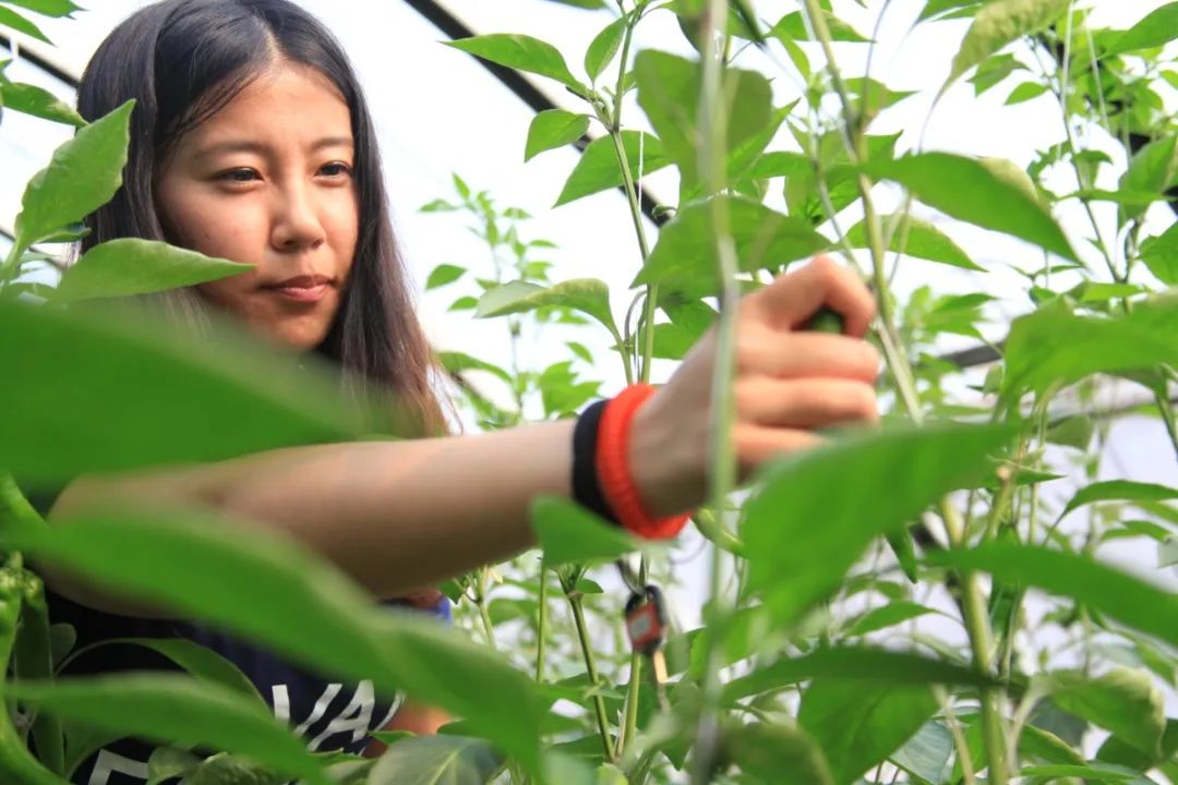 又被挤爆了！天津惊现3000000㎡度假胜地！内部实景全面曝光