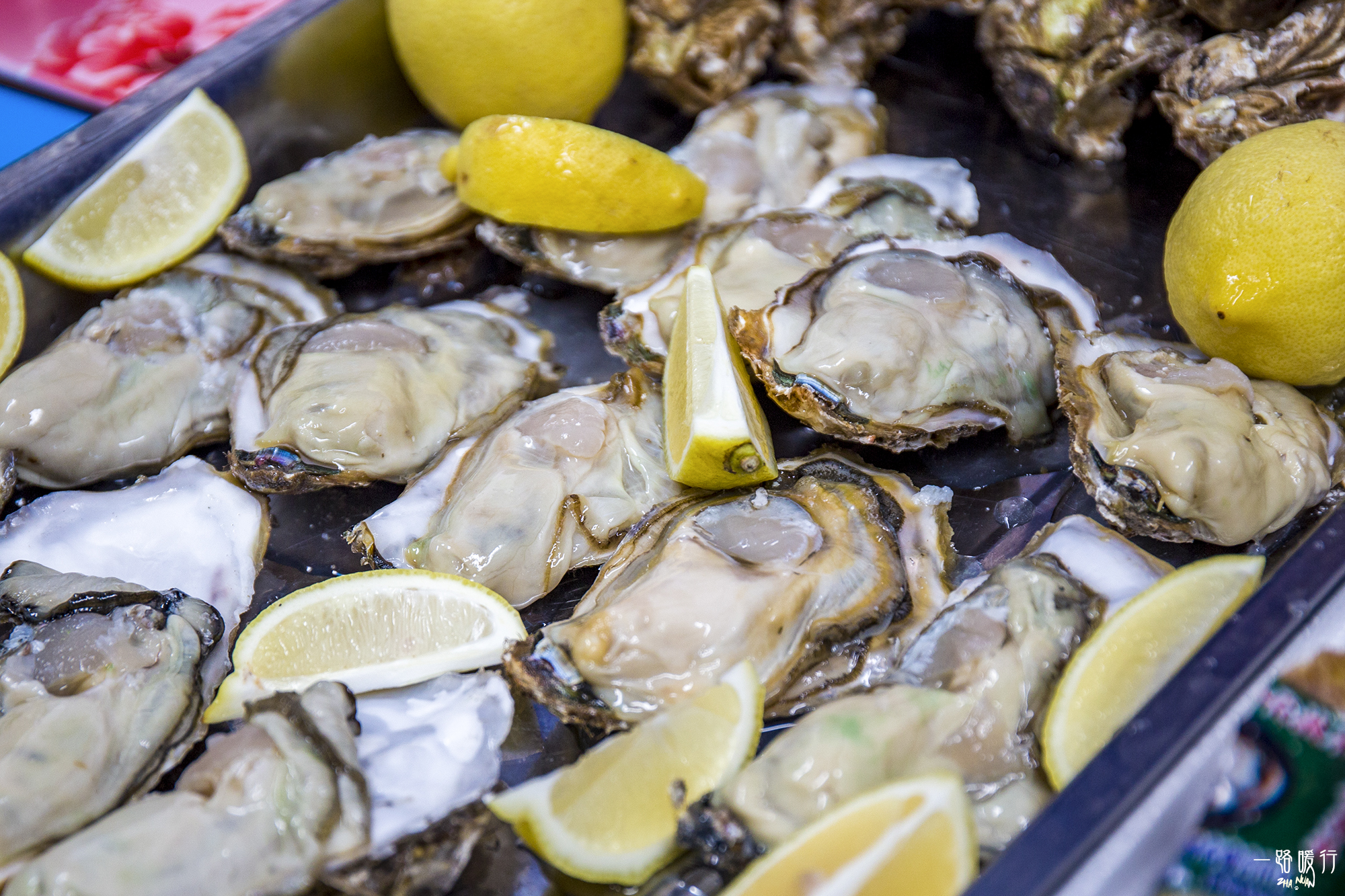 乳山冬季海蛎子,乳山海边海蛎子