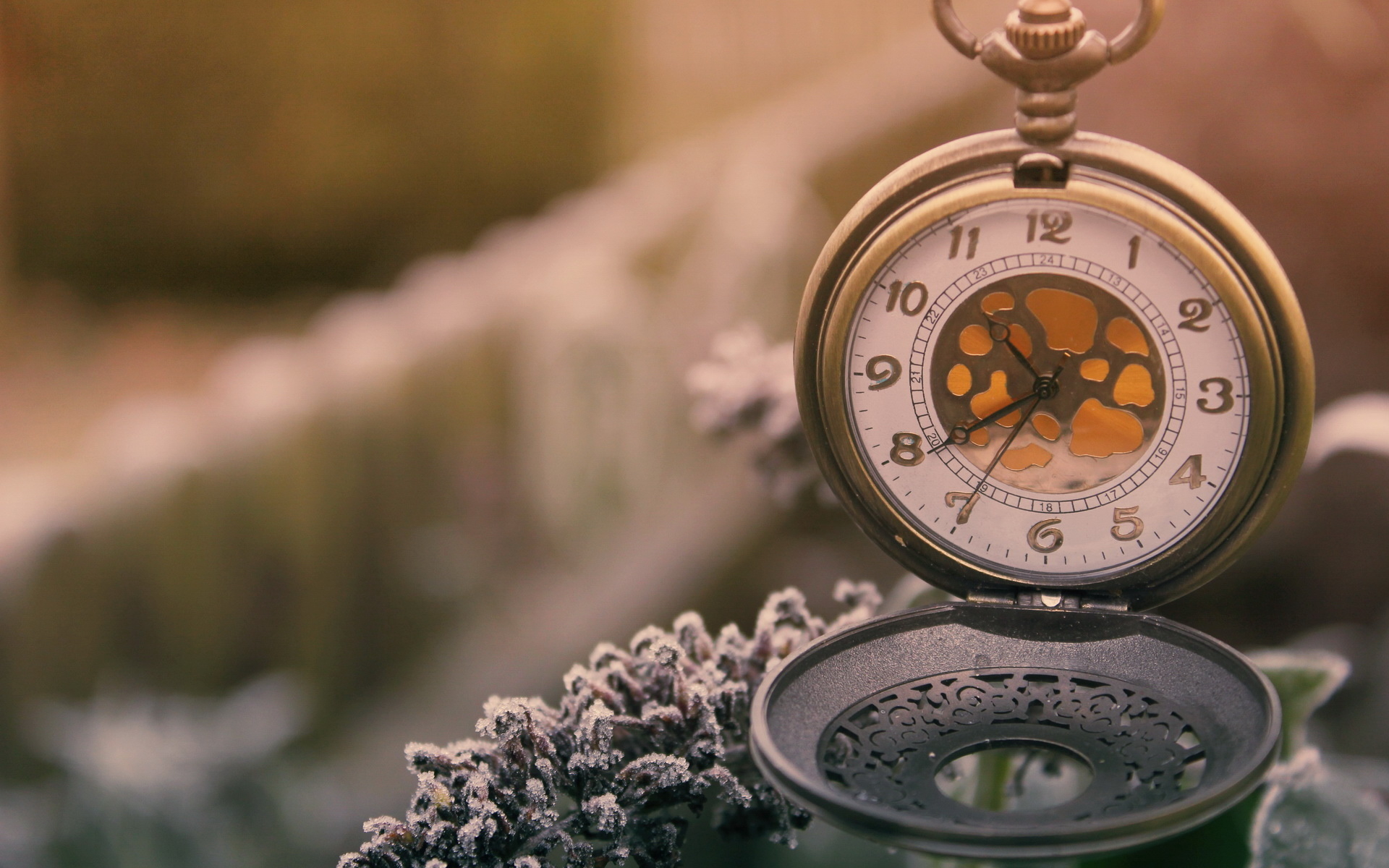 中年发迹的人有哪些特征,中年发迹的人的特点