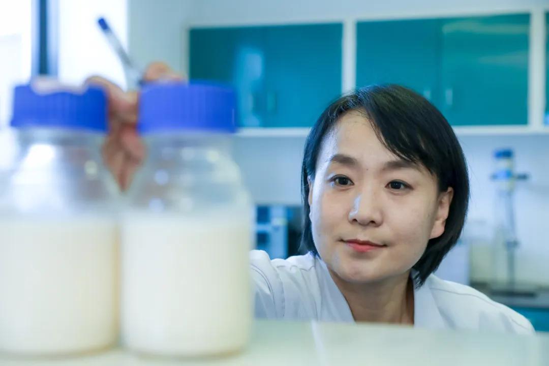 中国奶粉市场竞争,奶粉国货崛起