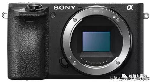 新手入门单反微单推荐,选单反相机还是微单相机好