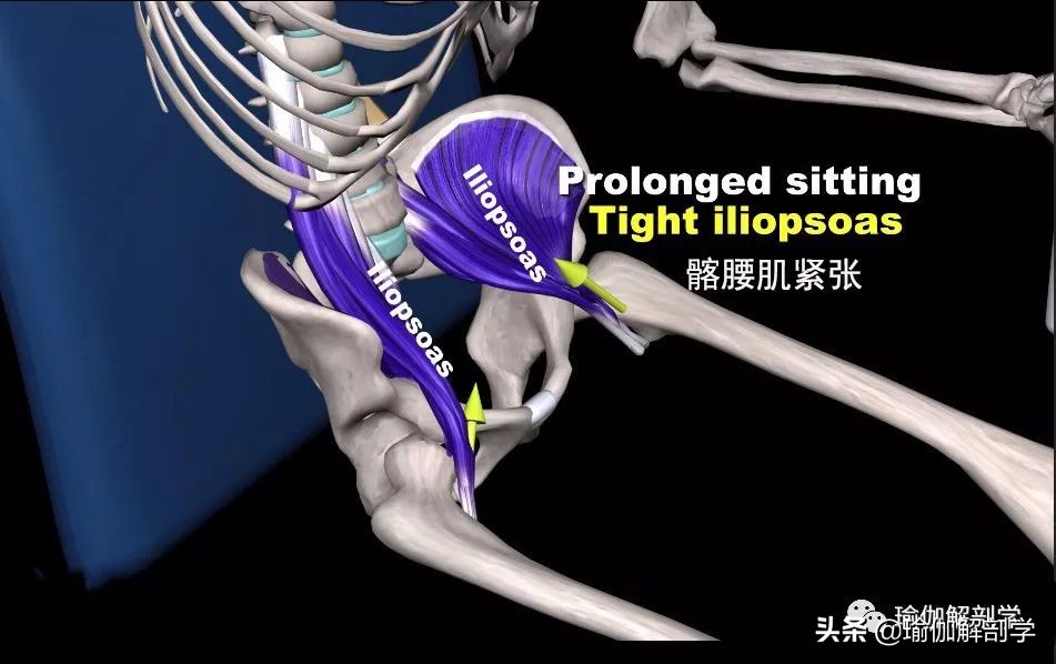 拉伸髂腰肌的瑜伽体式,久坐的人如何拉伸髂腰肌