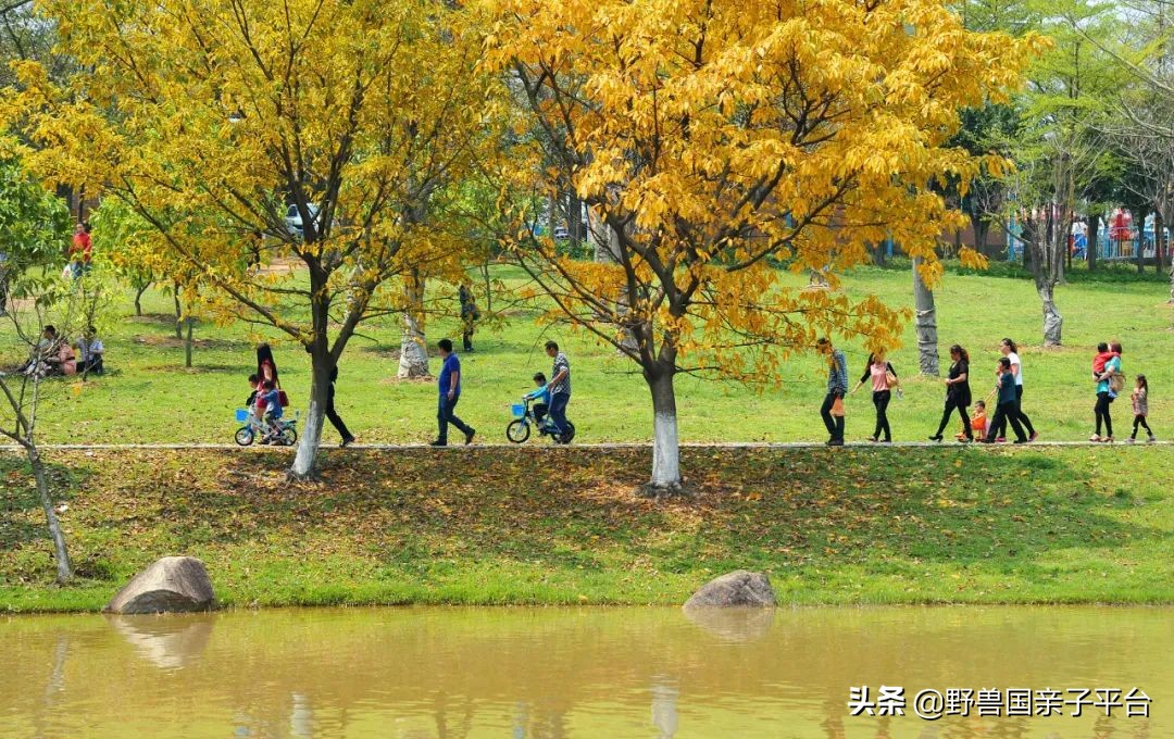 松山湖风景区松湖烟雨是哪个门,松山湖景区松湖烟雨有哪些好玩的