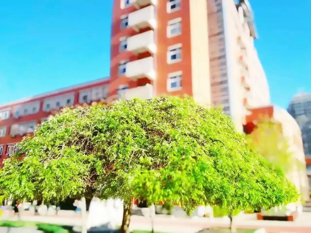 天津高级中学,天津市第二南开中学录取分数线