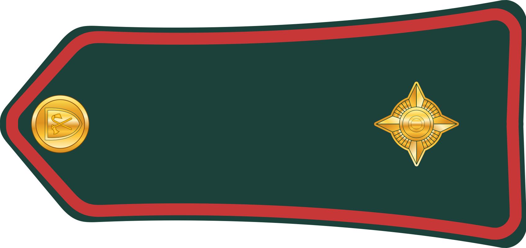 西亚各国军衔,各国军衔标识坦桑尼亚