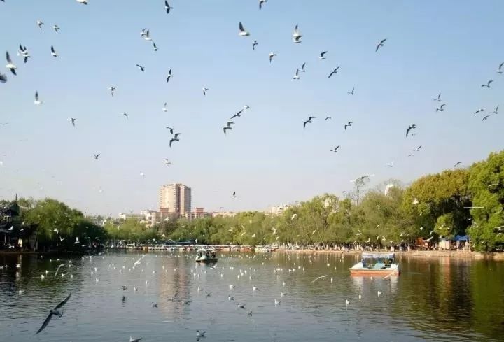 芜湖上榜中国最宜居城市,为啥芜湖现在发展得这么好