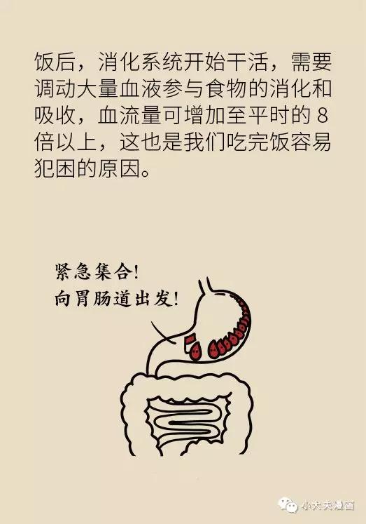 4岁小孩切除150厘米小肠,儿童小肠切除25cm多久能恢复