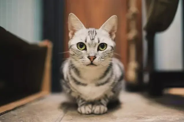 南京可口可乐、广西米粉博物馆...人类还有什么想不到的?