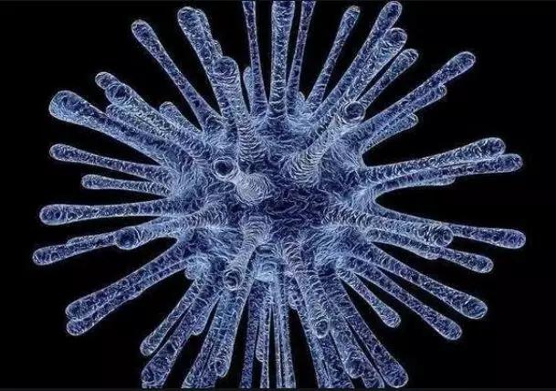 医生说eb病毒跟鼻咽癌有关,耳鼻喉eb病毒