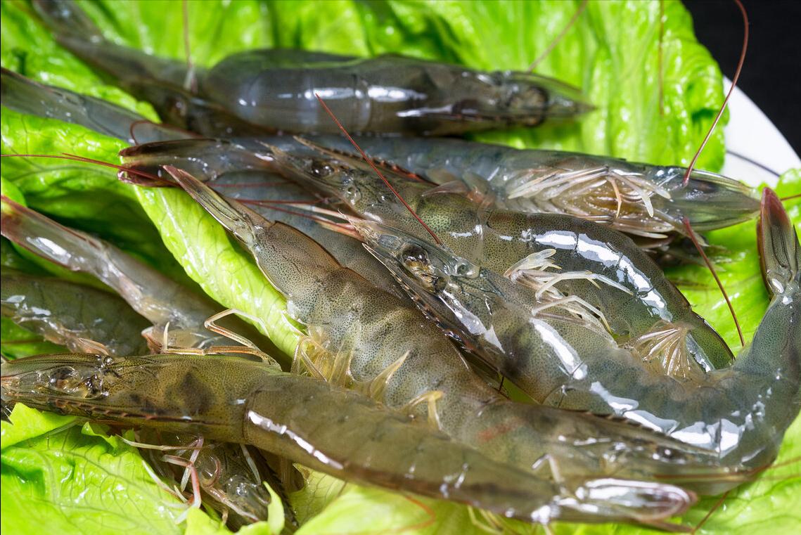 买大虾买什么样的品种的虾最好啊,买虾记住五种别买