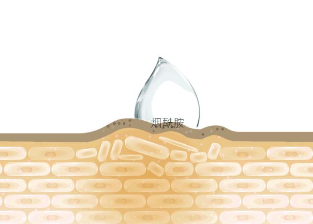 敏感肌温和氨基酸洗面奶评测,什么氨基酸洗面奶最适合敏感肌肤