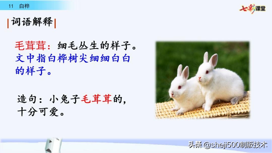 语文教科书四年级下册11课白桦,四年级语文书下册白桦讲解及预习