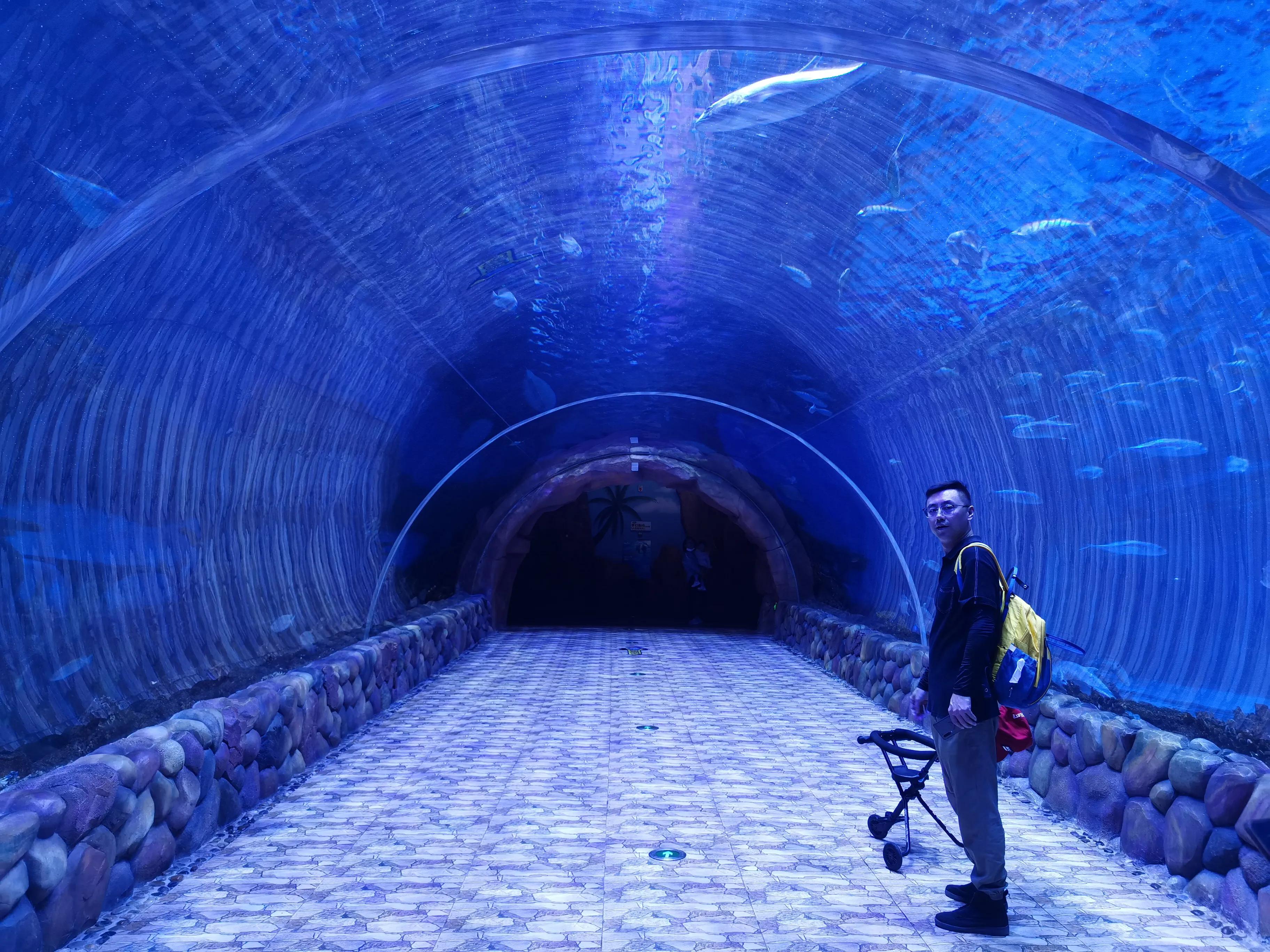 华夏文旅5d飞越丝路观看需要多久,西安华夏文旅丝路飞跃