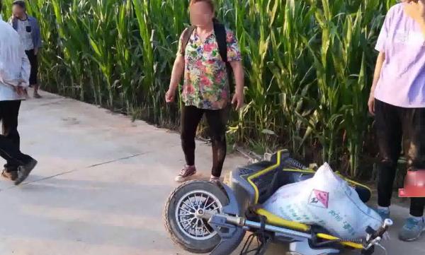 西瓜被偷瓜农却倒赔300给小偷,瓜农西瓜被偷倒赔300后续