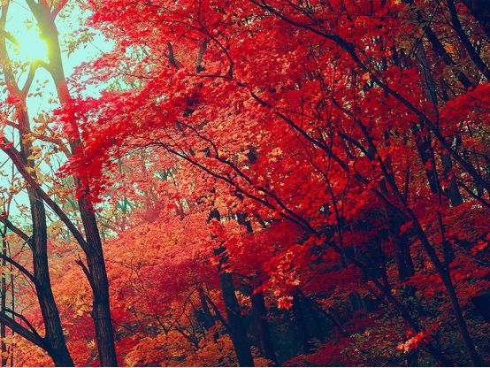 国庆八天怎么玩不遗憾,国庆七天能玩多少个小时