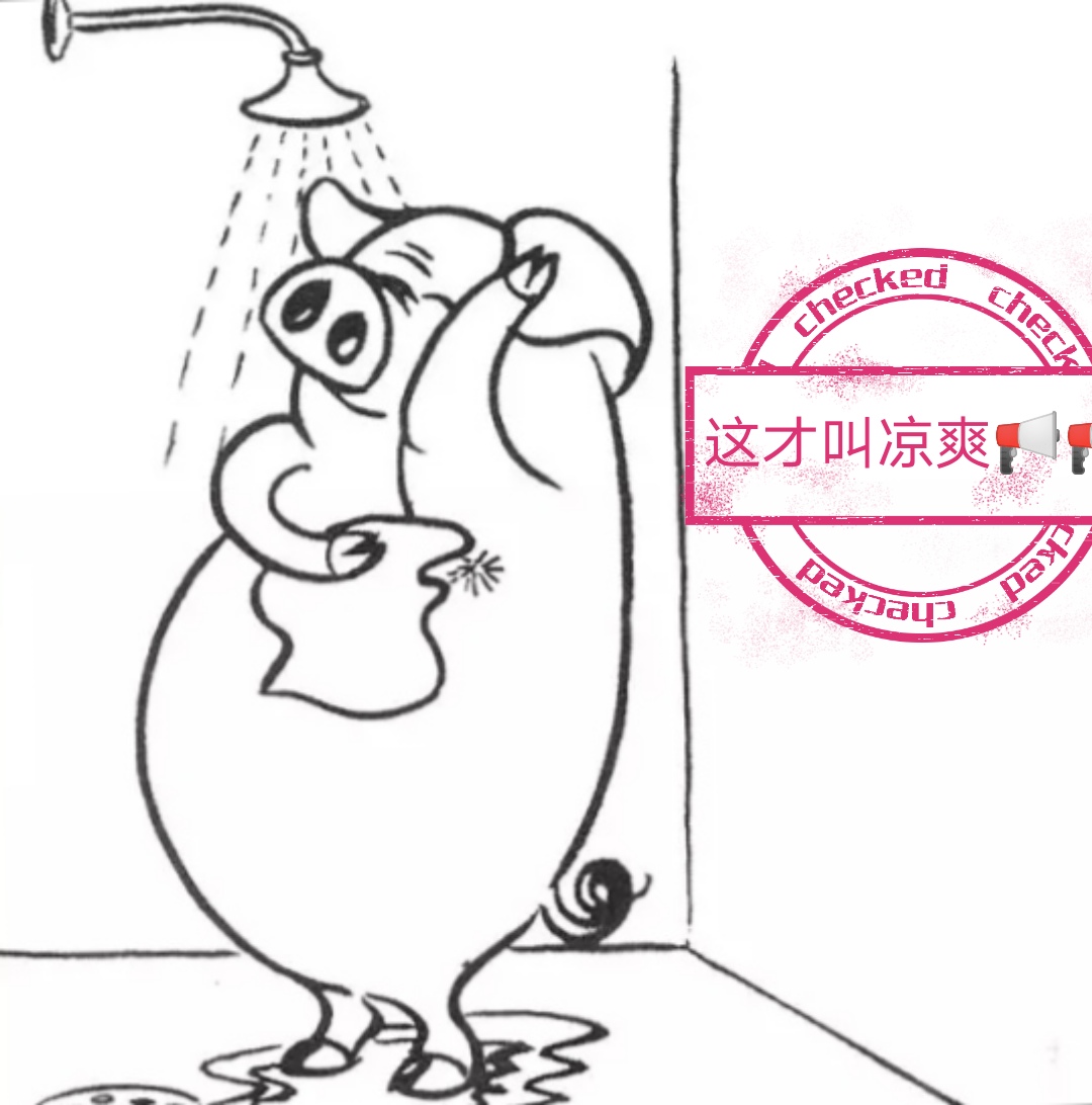 生猪养殖保障措施,猪养殖下阶段工作重点