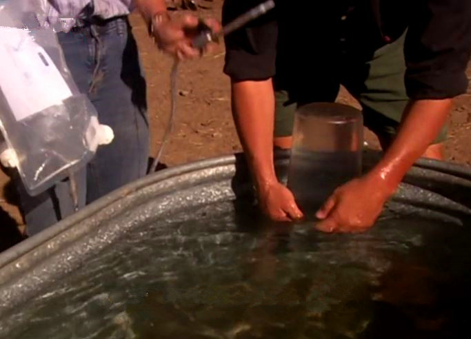 男性和女性排便差异,男性排屁量