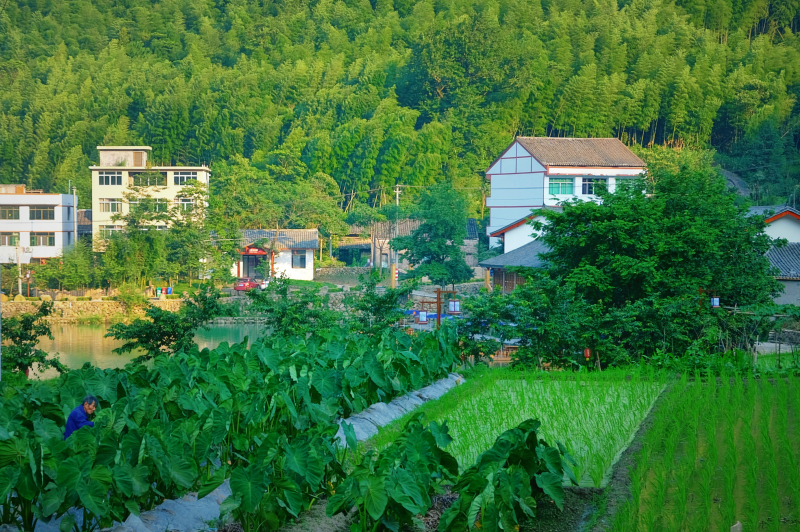 平阳水口村有什么景点可以玩,平阳水口村旅游
