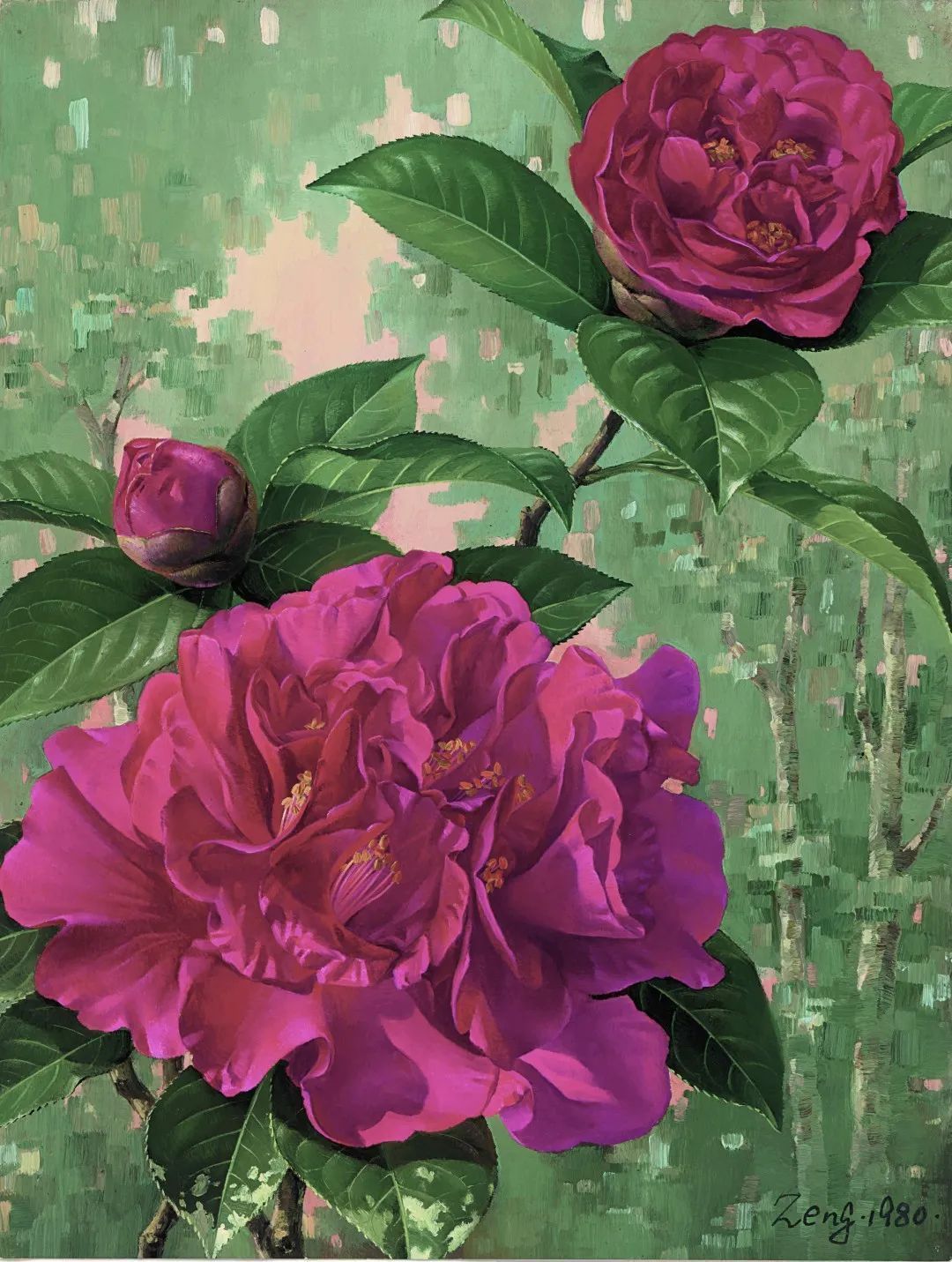 濒危稀有植物绘画,八大濒危珍稀植物