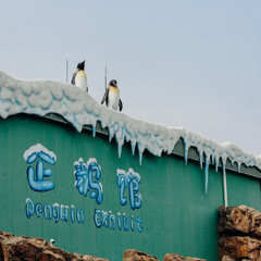 珠海长隆三日游攻略及住宿,珠海长隆游玩攻略3天2晚住宿套票