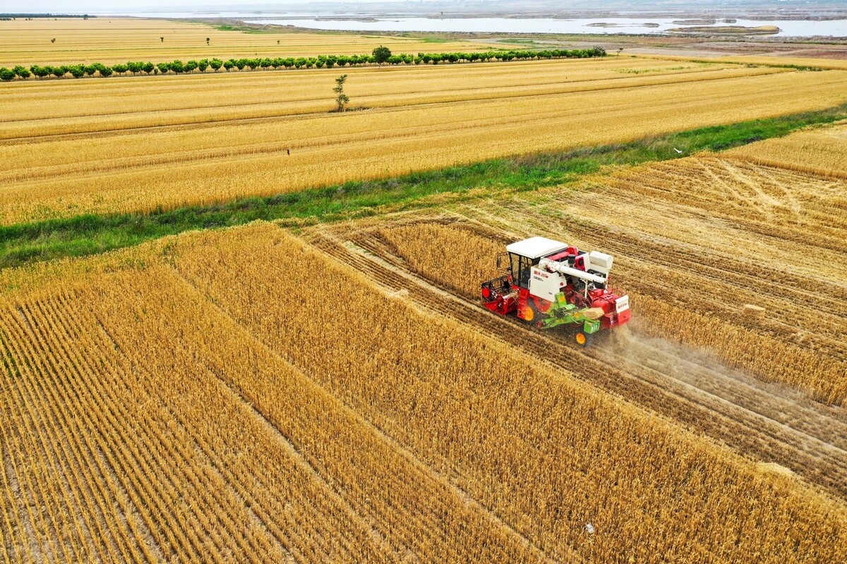 农机证收割机证能在网上办理吗,农机手未持证作业被罚