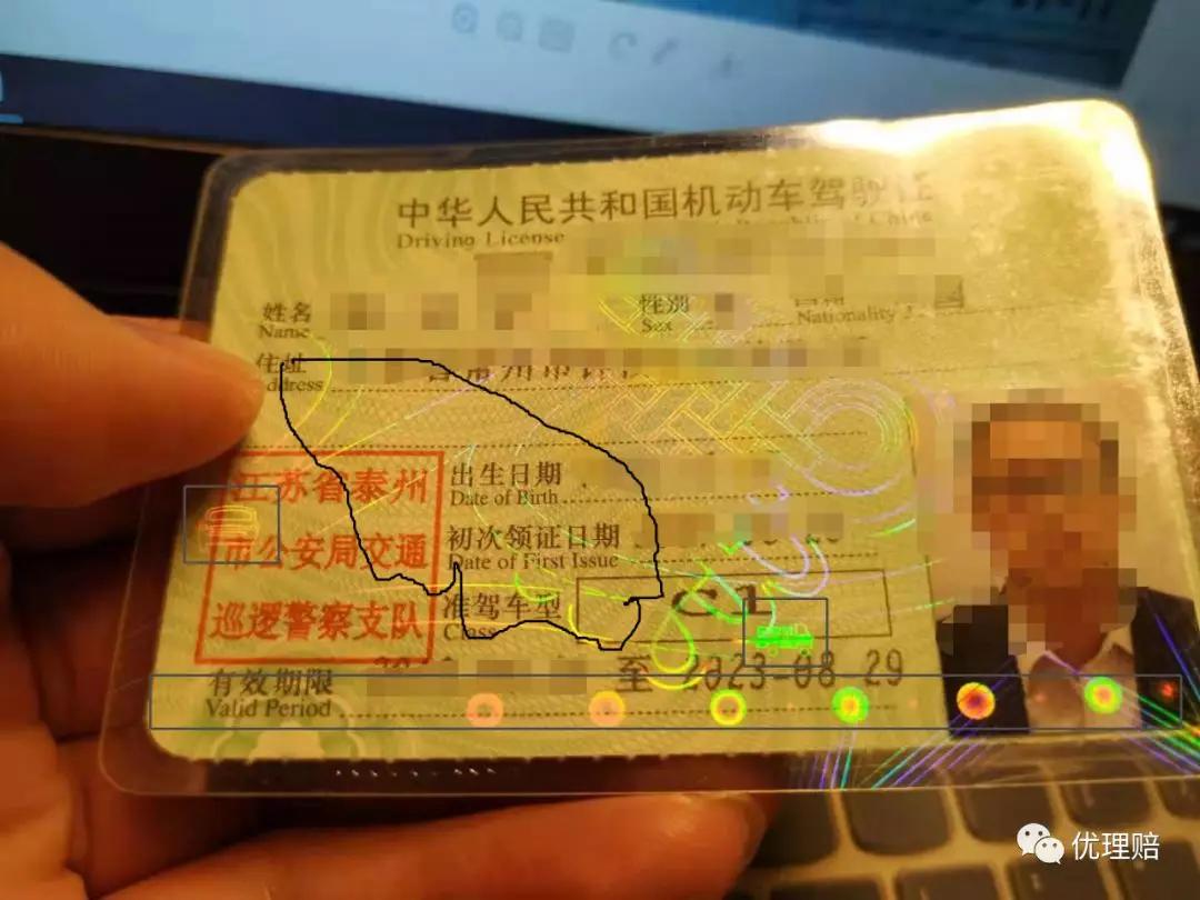游艇驾驶证怎么查真伪,如何辨别驾驶证真假