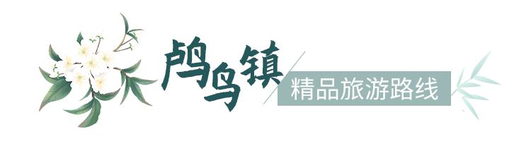欢呼!余杭9条精品旅游线出炉!瓶窑、塘栖、中泰...太惊艳了!