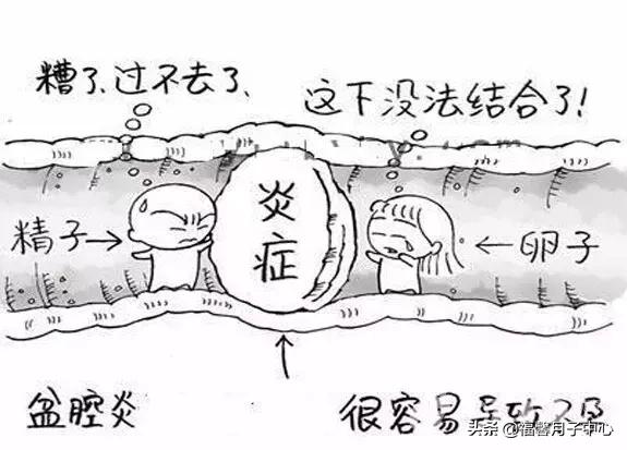 福馨产后康复,福馨月子中心最新消息