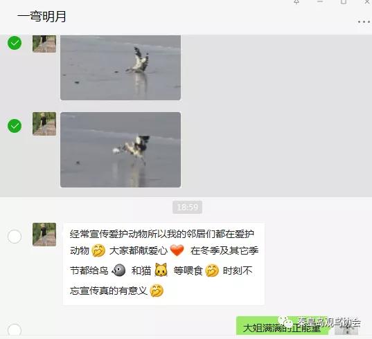 爱心让世界温暖的句子,爱心让生活更温暖